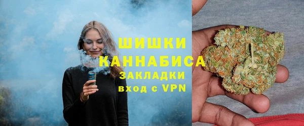 шишки Баксан