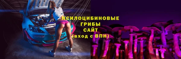 гидра Сосновый Бор