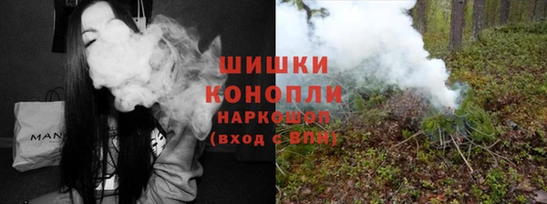 шишки Баксан