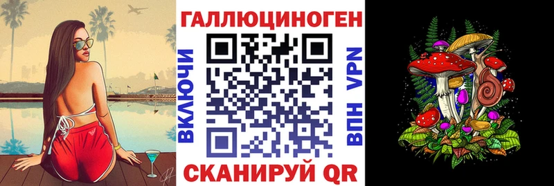 Псилоцибиновые грибы Cubensis  купить   Карасук 